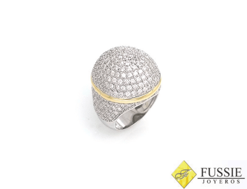 Anillo 01